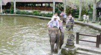 In March, 2009, I visited BALI...